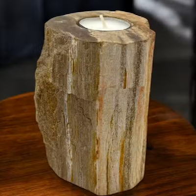 Petrified Wood Candle Holder